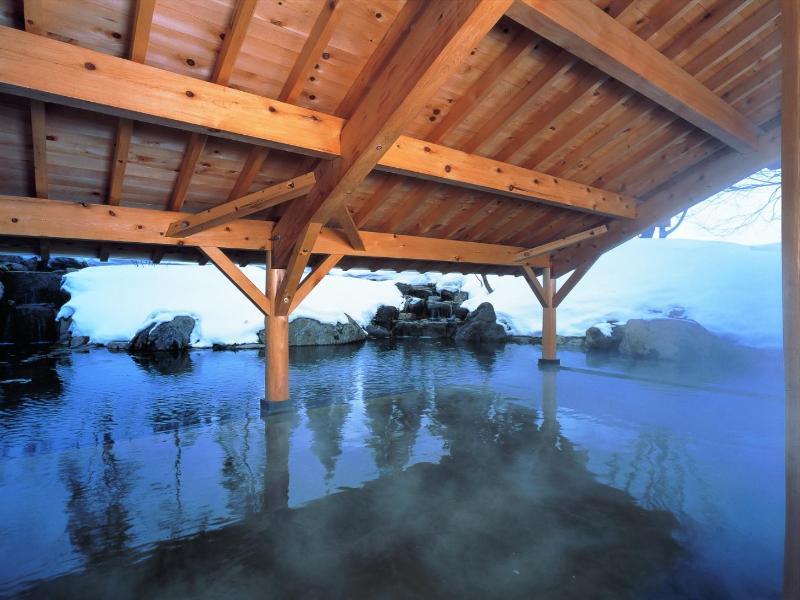 Shizukuishi Prince Hotel Ngoại thất bức ảnh